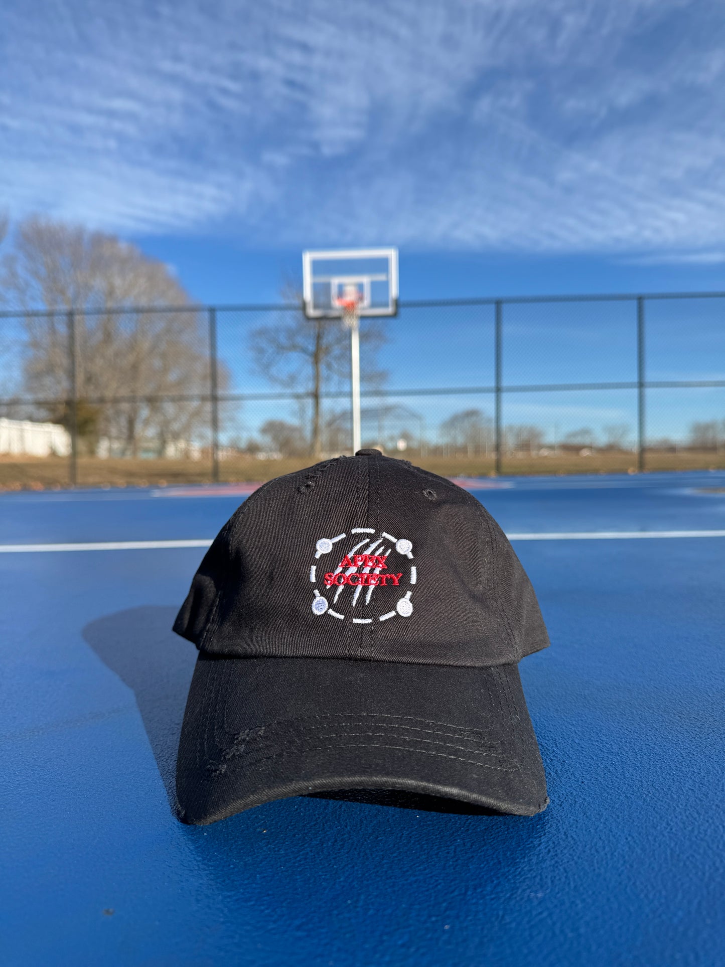 Distressed Apex Hat